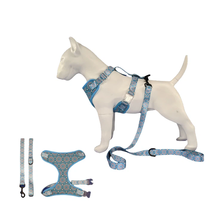 Arnés para perros para caminar