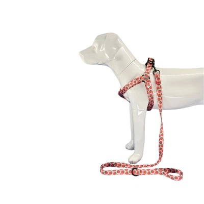 Arnés de perro de fresa