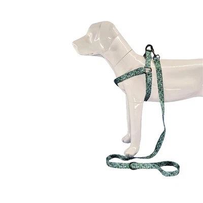 Arnés Tropical para Perros